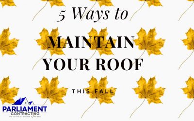 5 Ways to maintain your roof this fall
